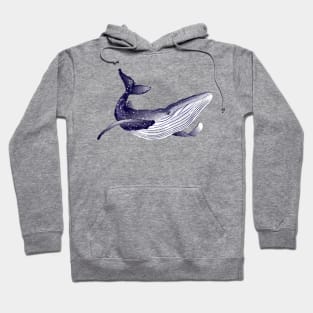 blue whale 4 Hoodie